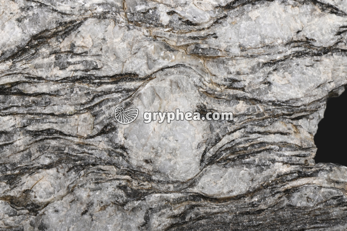 Gneiss oeillé - détail - gryphea.com